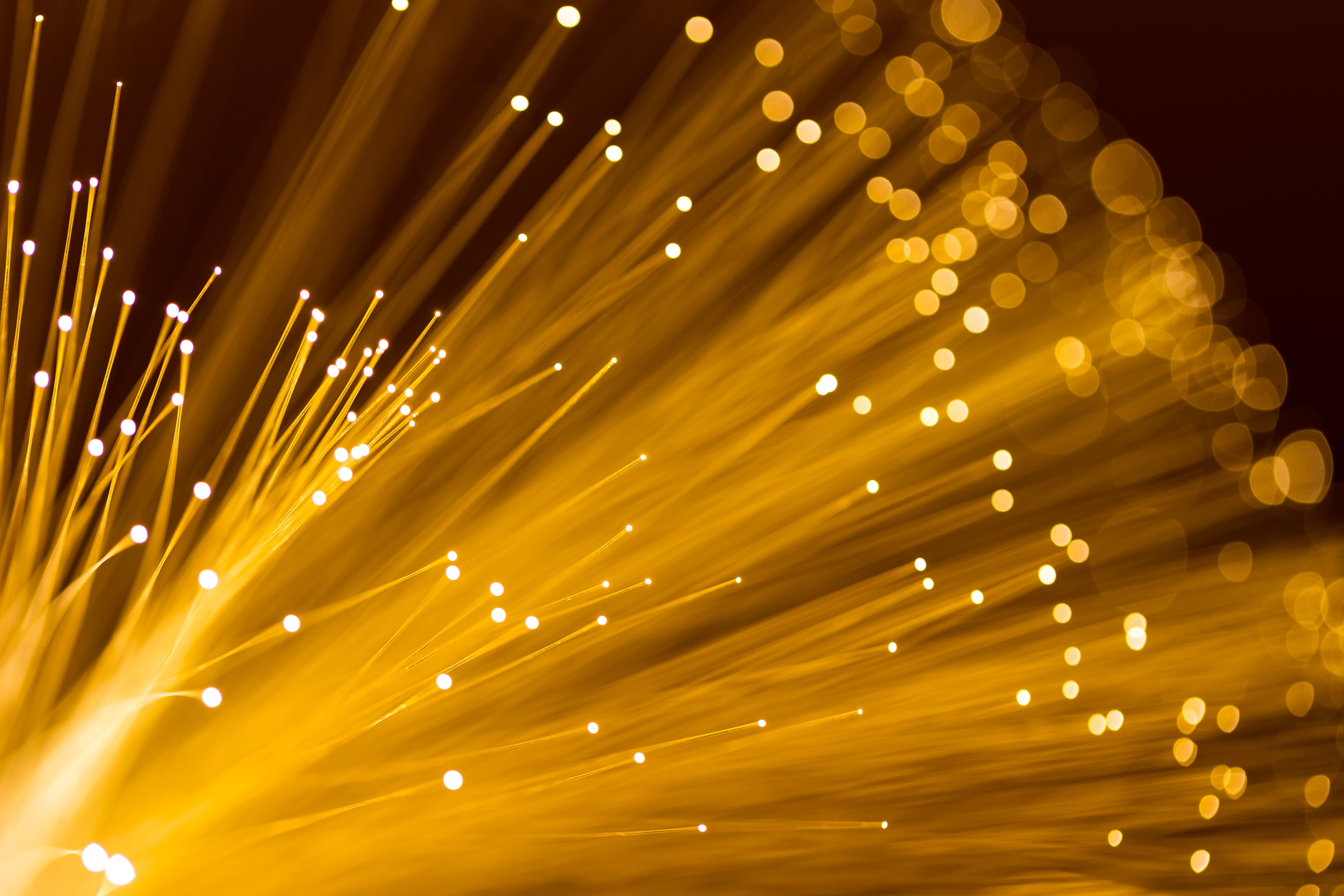 Fibra ottica AMT - 10 Giga a Barletta